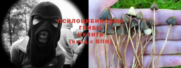 прущая мука Балахна