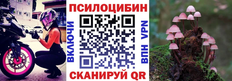 как найти закладки  Давлеканово  Псилоцибиновые грибы Psilocybine cubensis 